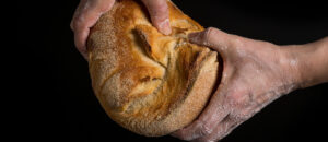 panaderías ruta del buen pan
